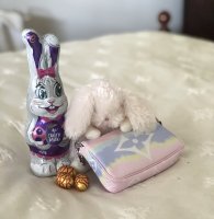 578F3C01-744E-4A0F-AE4D-22BF180DB884.jpeg