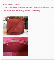vector77aqua fake red coach bag .png