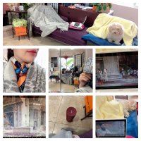 616BD752-AA3F-4E7F-924E-ED49782011F3.jpeg