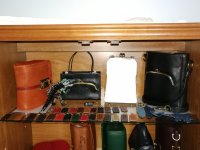 IMG_20200413_075104.jpg