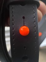 image17.jpeg