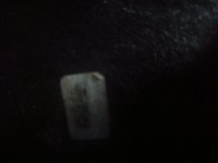 IMG_20200417_111042.jpg