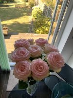 BC941AEB-8A4F-4B67-89B6-B11E318B04E9.jpeg