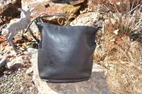 GutsyGirls fake coach 012-3445 side 2.jpg