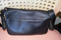 GutsyGirls fake coach P1L-9951 back.jpg