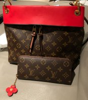 Louis Vuitton Wallet Review and Comparison: Insolite and ZCP