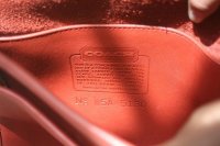 1995_5130-A-plant+puffy-turnlock_burnt-orange-sm2-b.jpeg