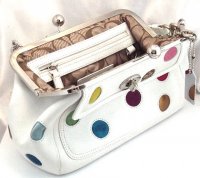 3679_Dot Framed Bag-4.jpg