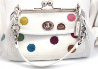 3679_Dot Frame Bag-1.jpg