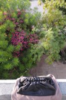 IMG_20200507_1738180.jpg