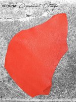 2020S COQUELICOT ORANGE VERONA.jpg