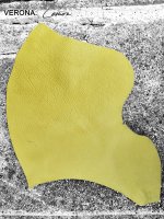 2020S LEMON VERONA.jpg