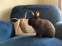 Easter2020_004.jpg
