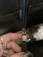 4B0451FF-0F0E-4DDD-86D5-C8816613365D.jpeg
