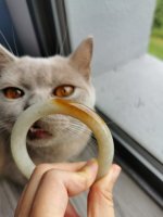 IMG_20200520_160519.jpg
