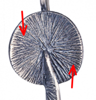z02.png