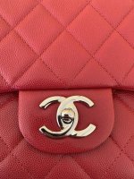 IMG_6172.jpeg