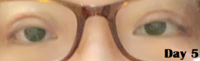 upload_2020-5-24_11-54-8.png upload_2020-5-24_11-54-8.png