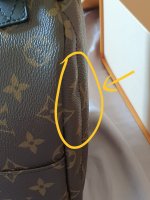 Pandemic Repair Policy ' 2020 👜 . Louis Vuitton Palm Spring Mini . Canvas  Peeling 😢 