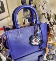 Coach 1941 Rogue 25 Disney.jpg