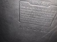 IMG-5538.jpg
