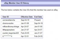 sorciereblanche eBay ID history.jpg