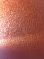8F889088-3E16-434B-B34E-EC0DC36C3B55.jpeg