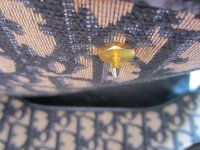 IMG_1352.JPG