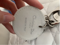 dior7.PNG