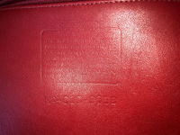 Image_1.jpeg