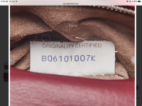 7A2E7328-577F-4FBC-9525-46B0F4C802E6.png