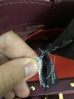 C3876C6E-7138-4DF3-B4D5-37F6B0572790.jpeg