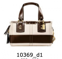 10369 canvas tote.png