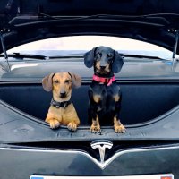 Wiener and Roley.jpeg