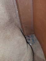 20190413_064748.jpg