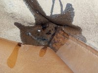 20190413_065145.jpg