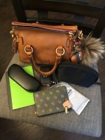 Dooney & Bourke Florentine Nano Satchel