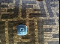 image6.jpeg