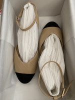IMG_2806.jpeg