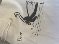 Mini Dior.jpg