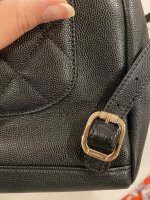 IMG_2151.jpeg