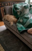 7F669E7C-CBE7-4D49-811A-D8B9D1432166.jpeg