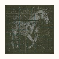 cheval-celeste-scarf-140--553542T 05-flat.jpg