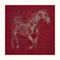 cheval-celeste-scarf-140--553542T 09-flat.jpg