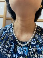 B5682700-1ADA-4945-B843-ACC3F7148C81.jpeg