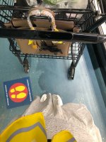 9B60703F-6289-441F-BE7F-708D65F206FE.jpeg