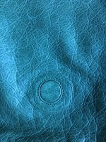IMG_4211.JPG