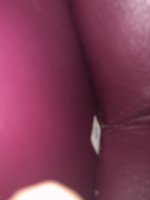 9A951DDA-76F8-4D42-8363-42E207F6E1A6.jpeg