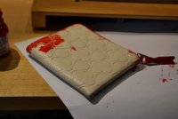2020 07 26_2861.JPG