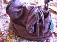 tPF Nico XX - Currant 04.jpg